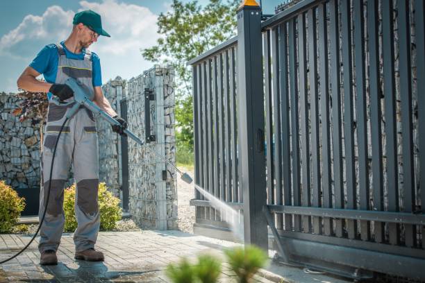 Best Spring Cleaning  in Dunlap, IL
